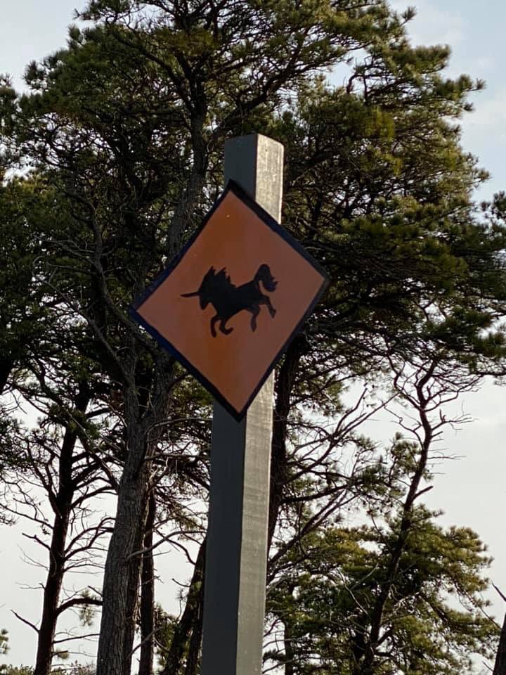 Jason Graziadei tweet media