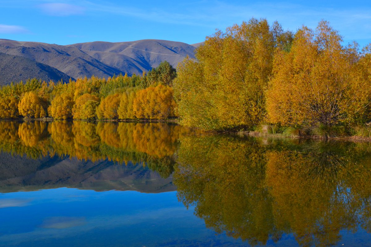 Mitchy ニュージーランドの旅クリエイター 秋の黄葉シリーズ その5 トワイゼル1 秋の黄葉といえば 個人的にトワイゼルがナンバー1だと思います マウントクック テカポ クイーンズタウン間の移動で通り過ぎるだけのことが多いトワイゼルですが 4 5