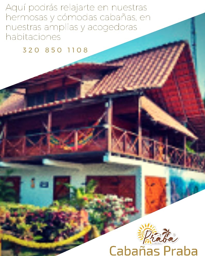 CabanasPraba's tweet photo. #hotel #playa #palomino #colombia #piscina #mar #naturaleza #cabañas #pareja #habitaciones #sol https://t.co/5RvnsXVAnL