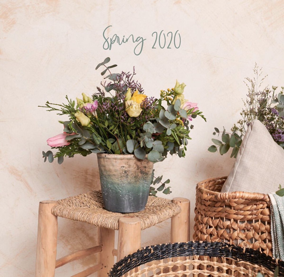 NeckVeracruz's tweet photo. Próximamente Nueva Temporada 🌸🌼🌿 #Primavera2020 #neckandneckveracruz https://t.co/lR8r7Clh23