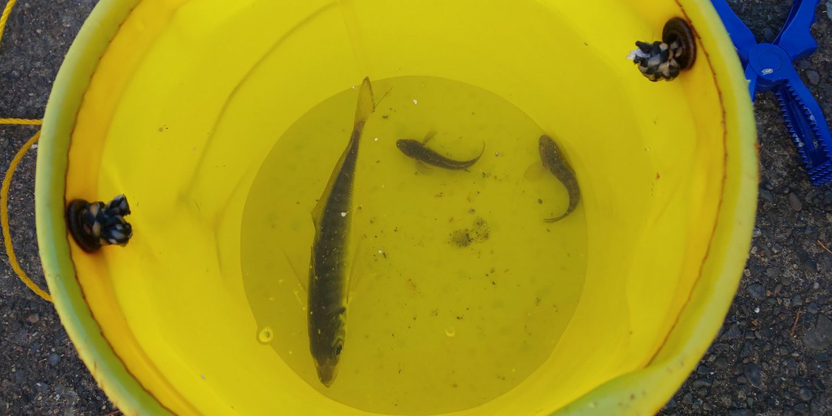 お久しぶりのふれーゆ裏
いやー渋い…🙄🙄🙄

ちなみにふれーゆは休館日です😇