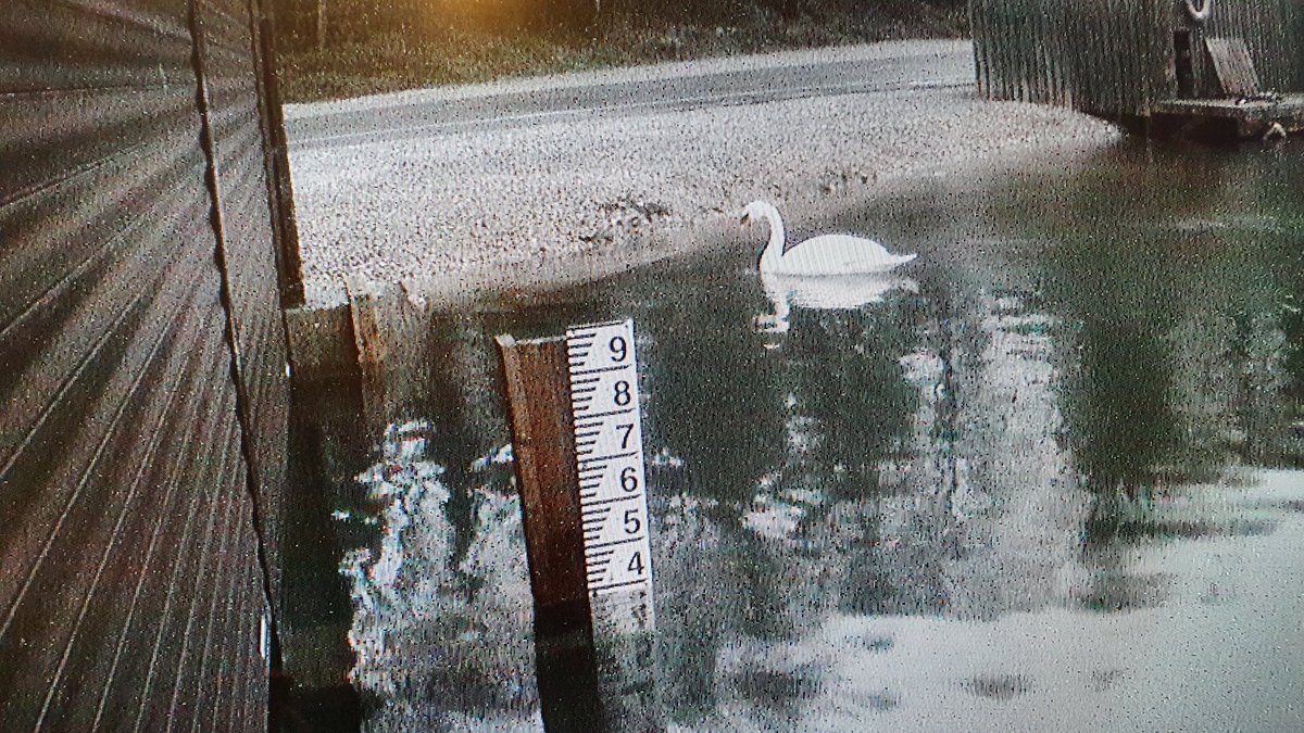 Amir Casey🦆💧🐝 tweet media