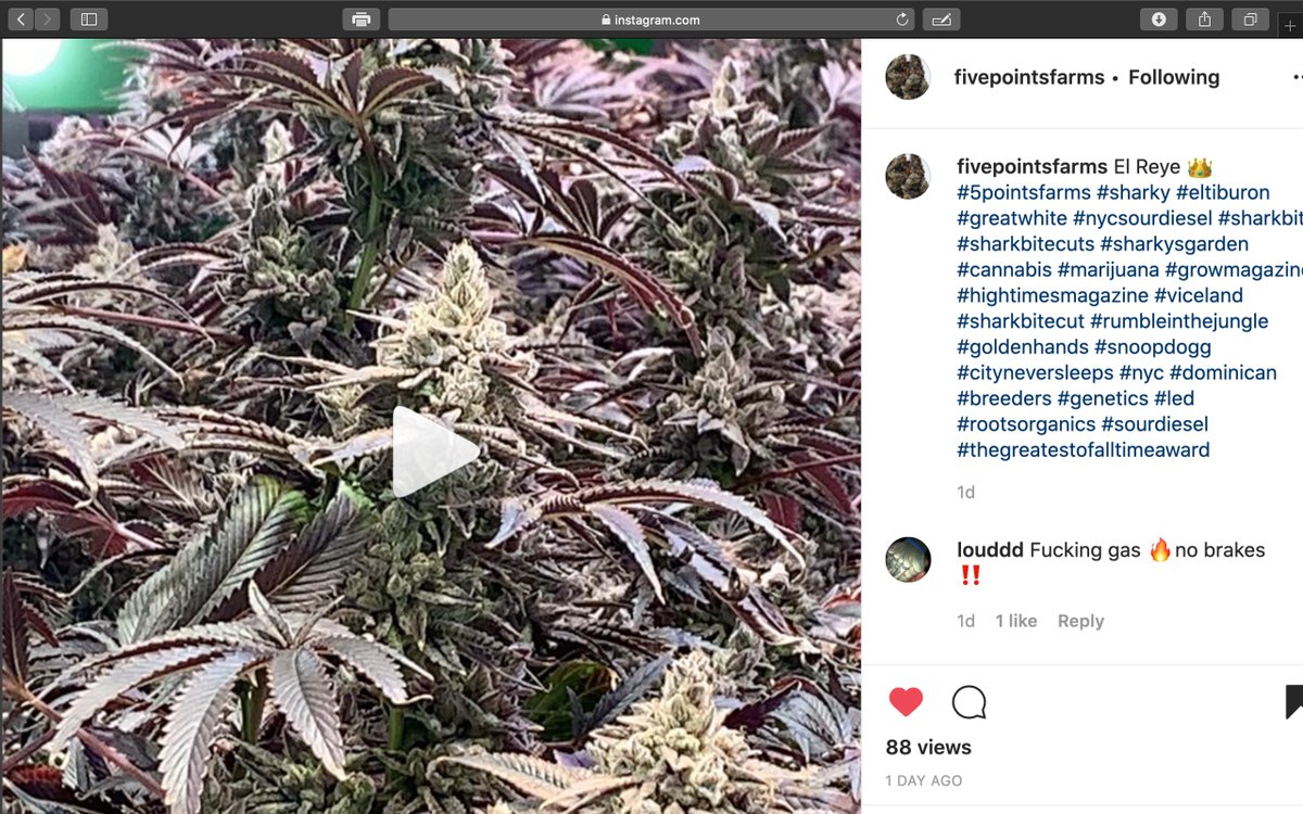 #weekend #weekendreview #WeedLovers #WEEDS

#instagood #weedstagram 📸🎞️📷