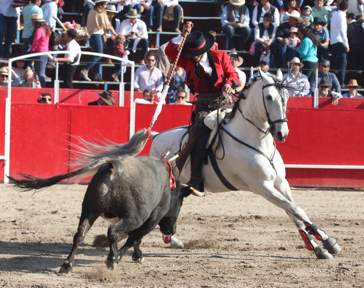 Marco Bastida | 5to. Festejo Taurino Ecuestre 2020
Divison tras dos avisos.