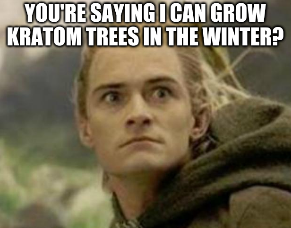 kratomtweets's tweet photo. Growing Kratom Isn't difficult. https://t.co/8XgIc7bRWQ