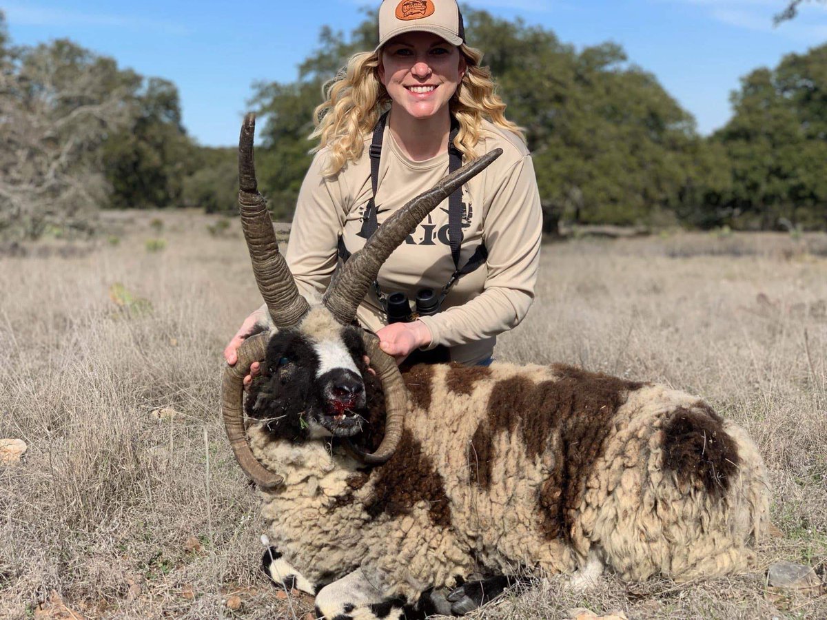 Frio Ice Chests tweet media