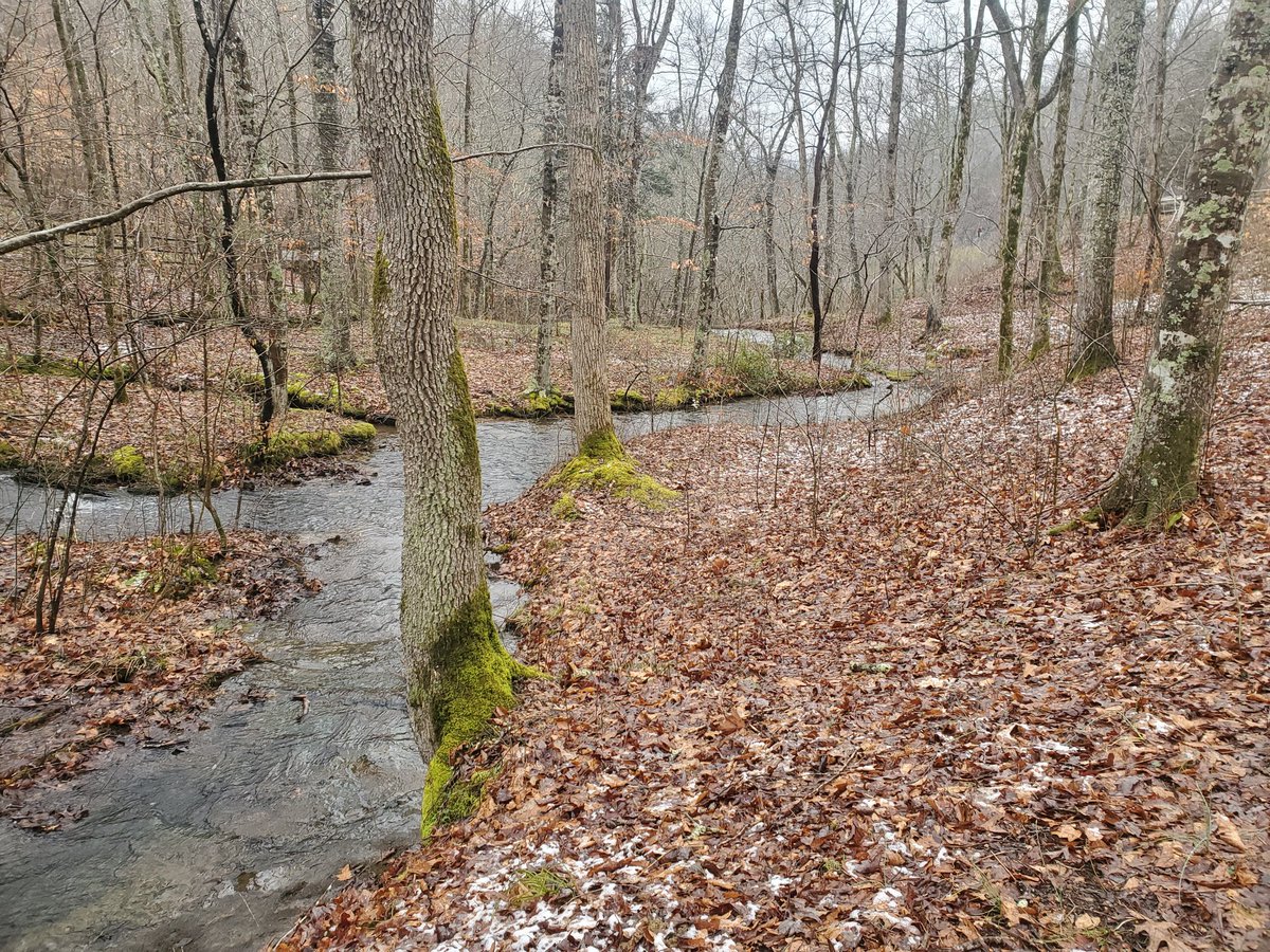 A bit of a slippery walk to see the waterfalls but it sure was pretty! #natcheztracestateparkway #waterfalls #Snowing #photograph