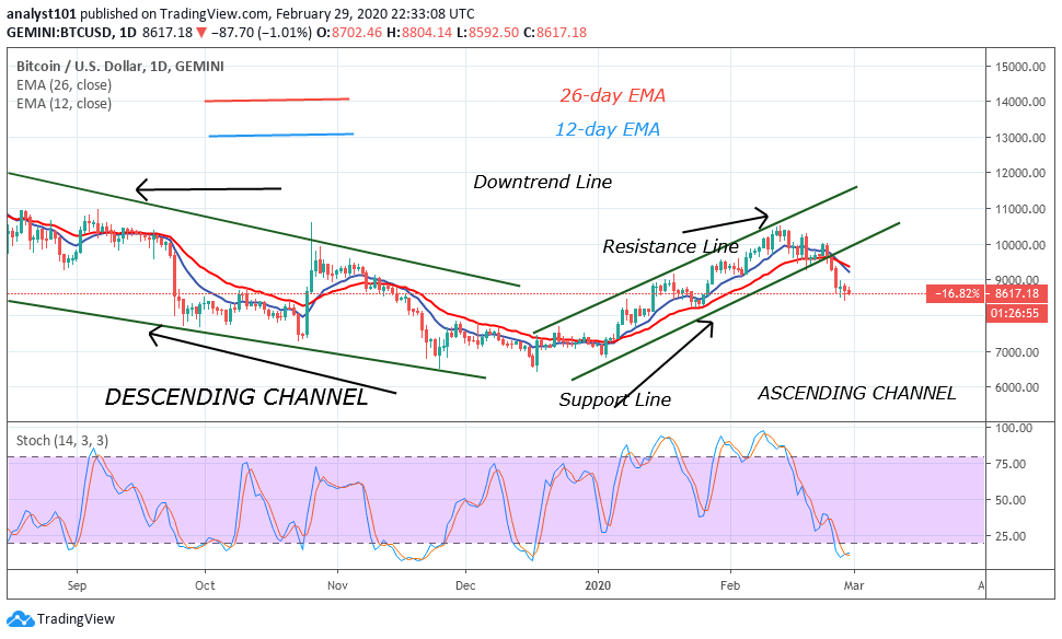NewsSentimentAI's tweet photo. Bitcoin Price Prediction: BTC/USD Fluctuates as the Bulls and Bears Tussle Above $8,500 ⚓📉  
Positive Sentiment Score: 2.94%   Negative Sentiment Score: 97.06%   https://t.co/Mtmmvrhv0j https://t.co/q1bSe8KKxR