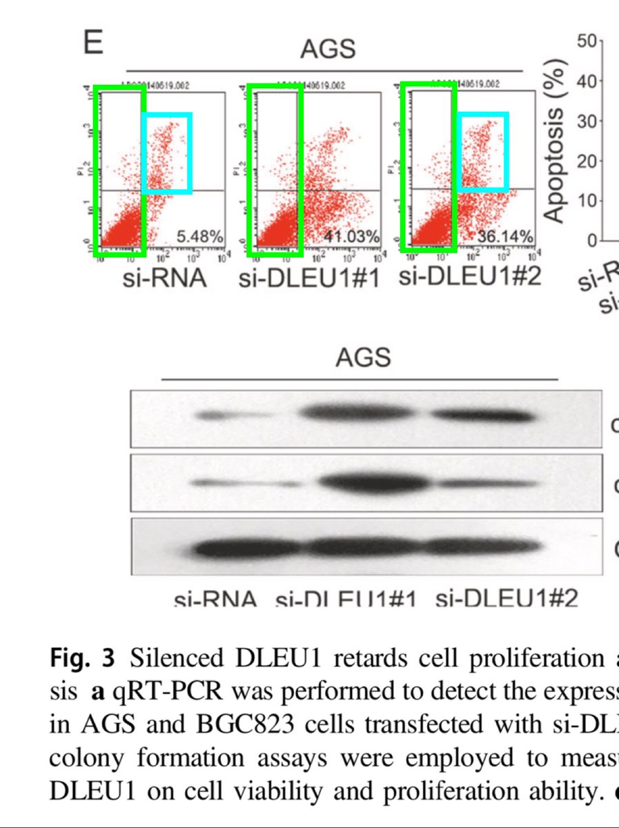 Thatsregrettab1's tweet image. What about #FlawCytometry in Fig 3?

nature.com/articles/s4141…