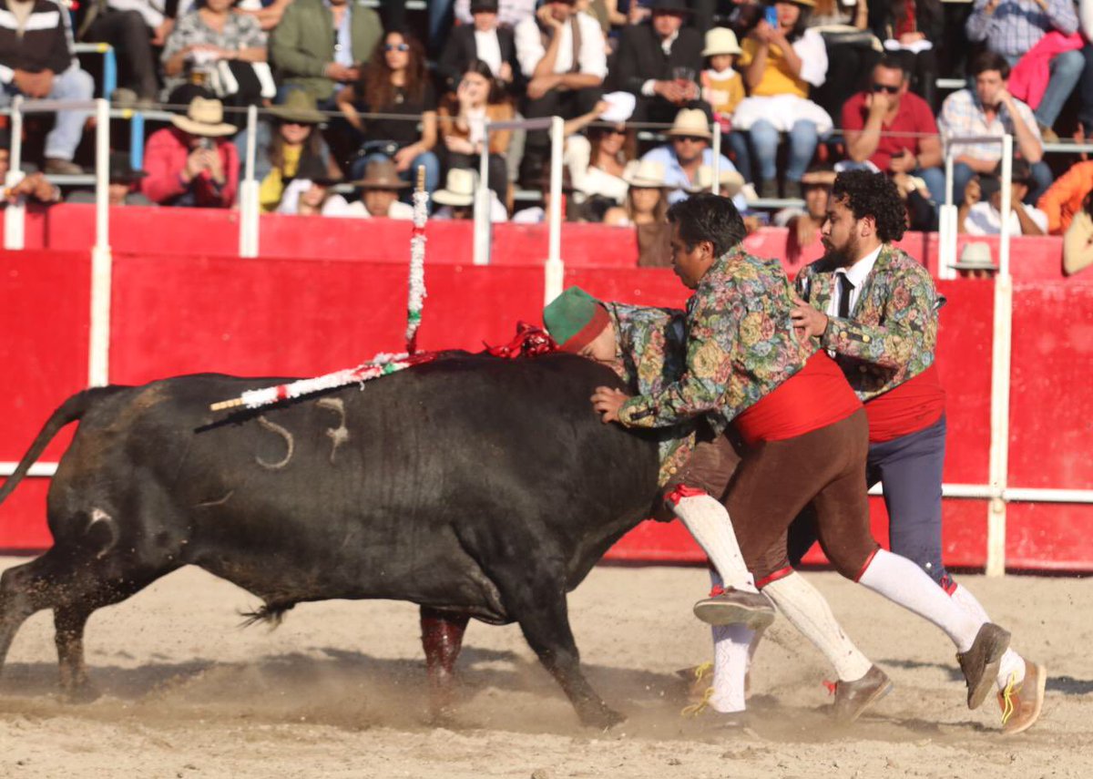 Emiliano Gamero | 5to. Festejo Taurino Ecuestre 
Oreja con un gran toro de Zacatepec.