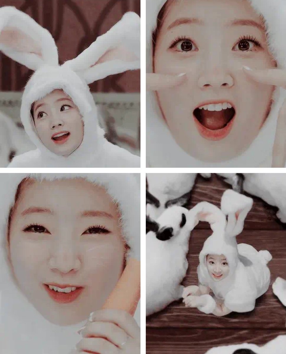 ねこん Twice ダヒョン ミナ V Twitter Day 26 Twiceメンバーに似ていると思う動物は ナヨン リス ジョンヨン 美形なダチョウ モモ かわいい梟 サナ ハムスター ジヒョ 猫 ミナ ペンギン ダヒョン 白うさぎ チェヨン 赤ちゃん虎 ツウィ 子犬 Twice