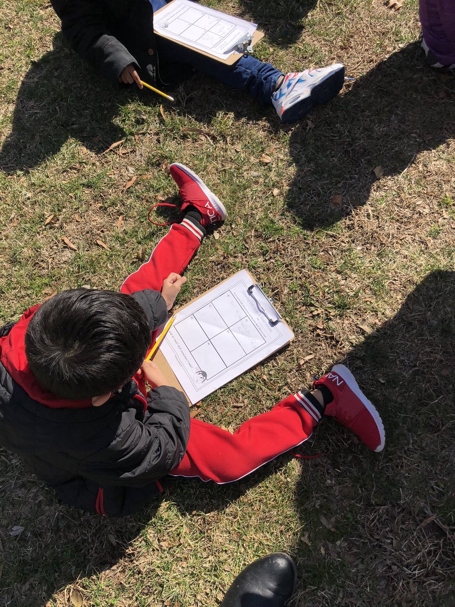 Roni Cook tweet media