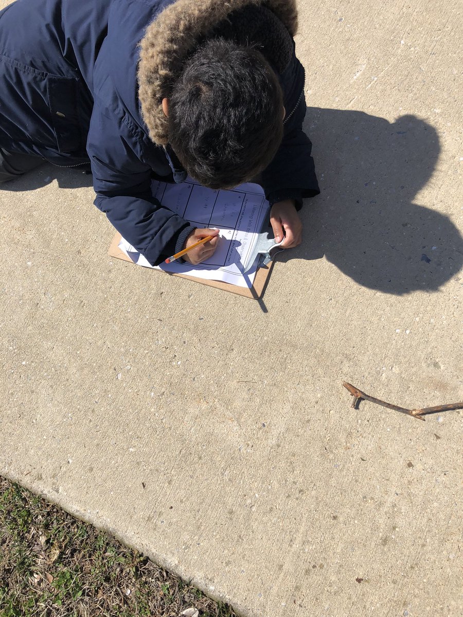 Roni Cook tweet media