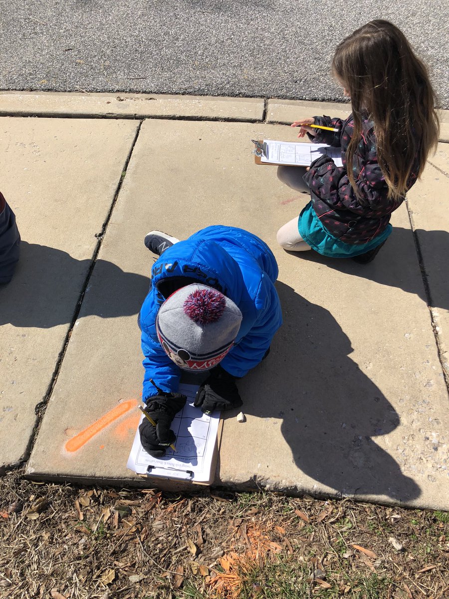 Roni Cook tweet media