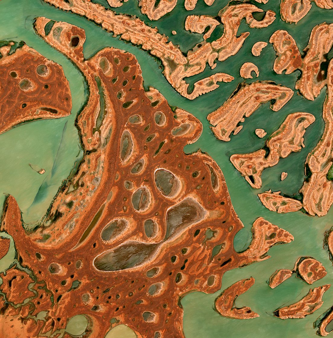 SatelliteSci's tweet photo. Spectacular arid-zone landscapes in Western Australia filling with water in the aftermath of #CycloneBlake and #CycloneDamien earlier this year. ๐
Satellite imagery of #LakeCarnegie captured on 17 February 2020 by @CopernicusEU #Sentinel2, available via #DigitalEarthAU https://t.co/kxYCcqsHTk