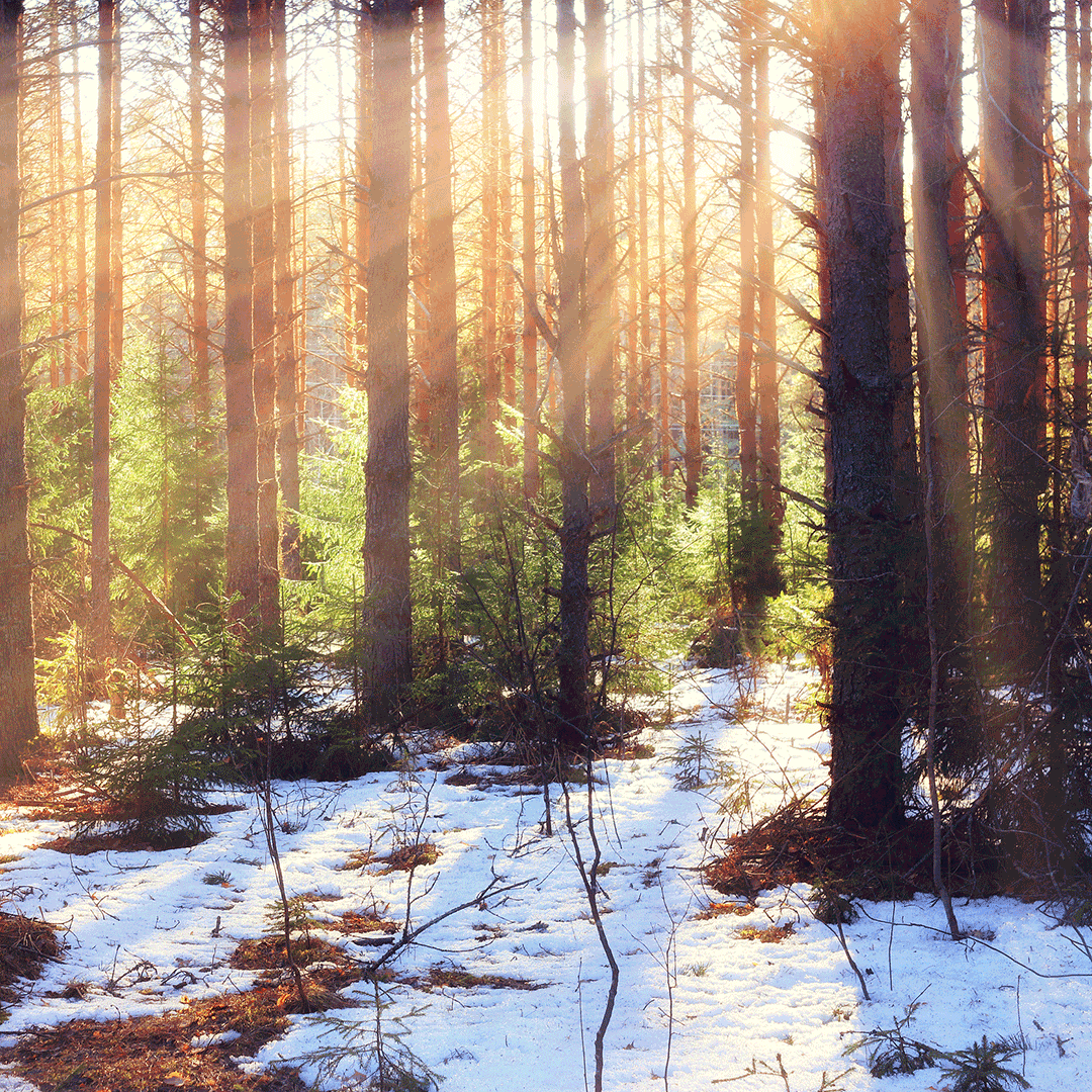 Elwood Staffing Virginia (VAElwood) Twitter