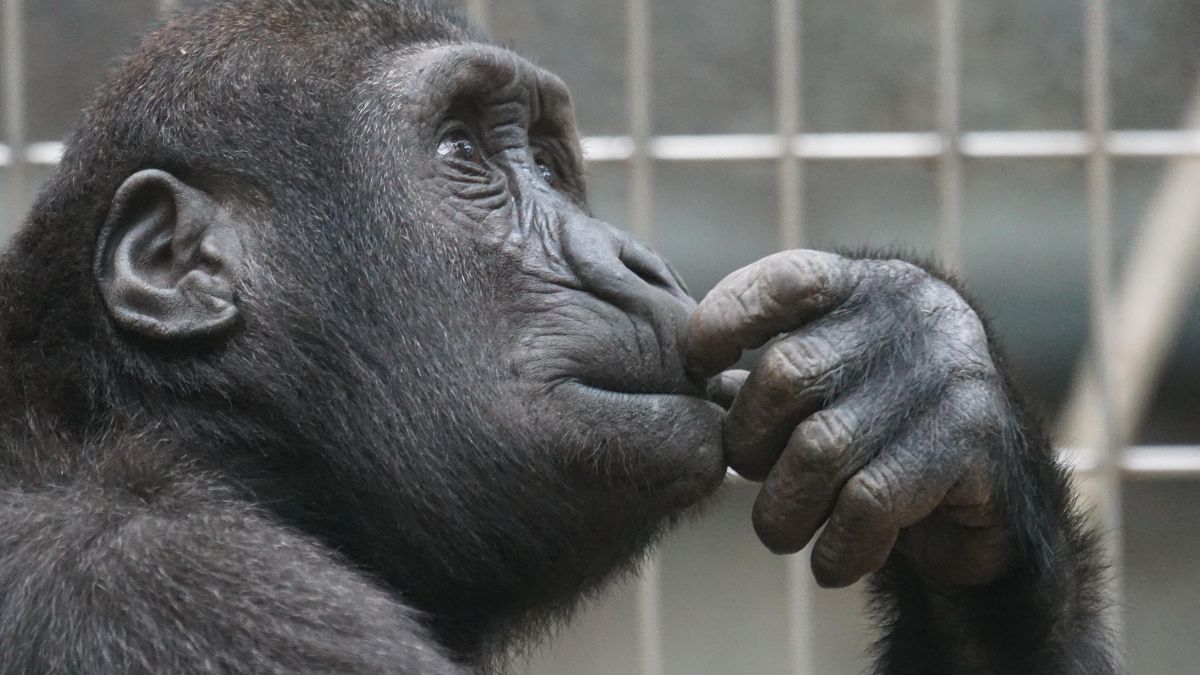 ⭐ Seeking Post-Bushfire Value ⭐ 3 Questions to Ask Before Choosing an Impact Measurement Approach ⭐ Australia's Hidden Social Value Act ⭐ - mailchi.mp/14e97e94d086/a…