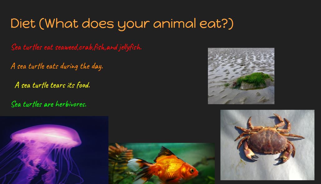 Give them a place and a purpose! Look at these amazing 1st-grade reporters in Mrs. Neitzel's class <a href="/APascoEdTech/">Anne Pasco, CETL</a> @melissajohara #DLDay @googleforedu