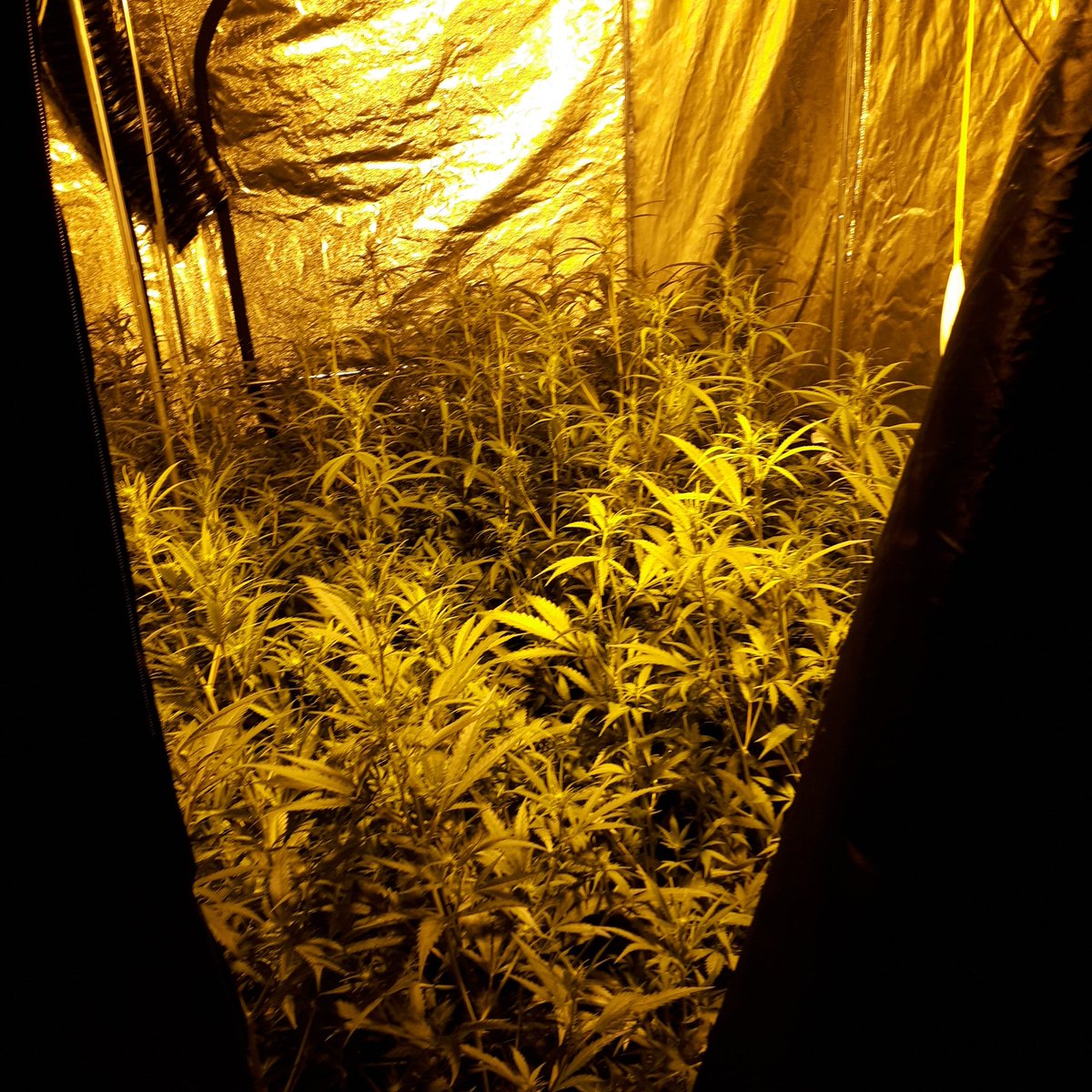 Wijkagenten Valkenboskwartier tweet media