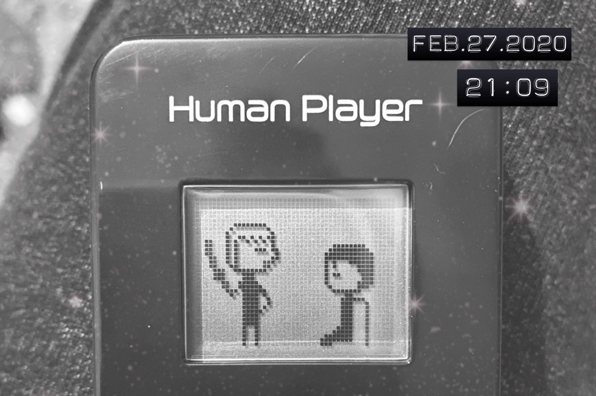 ProjectGotchi's tweet photo. No idea what’s happening here 😂🤷🏻‍♀️ getting told off for something maybe...  #HumanPlayer https://t.co/3lWGH3oT6b