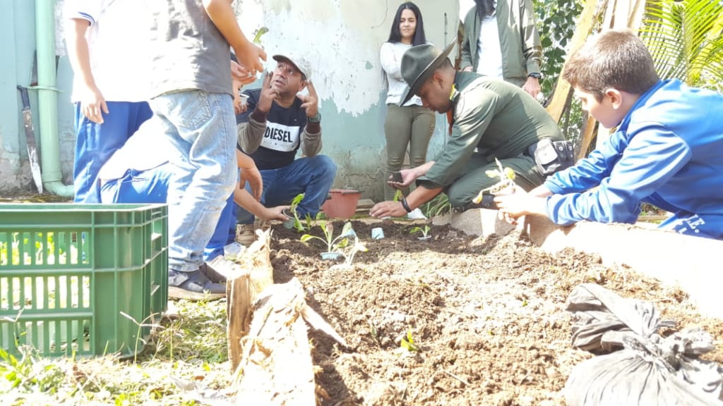 VocacinPolicia1's tweet image. Hoy nuestros Carabineros #Meval, crean #Ecohuerta con la Institución educativa las Lomitas, en conjunto de la secretaría de medio ambiente @AlcSabaneta, beneficiando a niñ@s de 15 familias del sector rural. @CarabinerosCol
#SISER #Elcamposomostodos @policiasbiensud