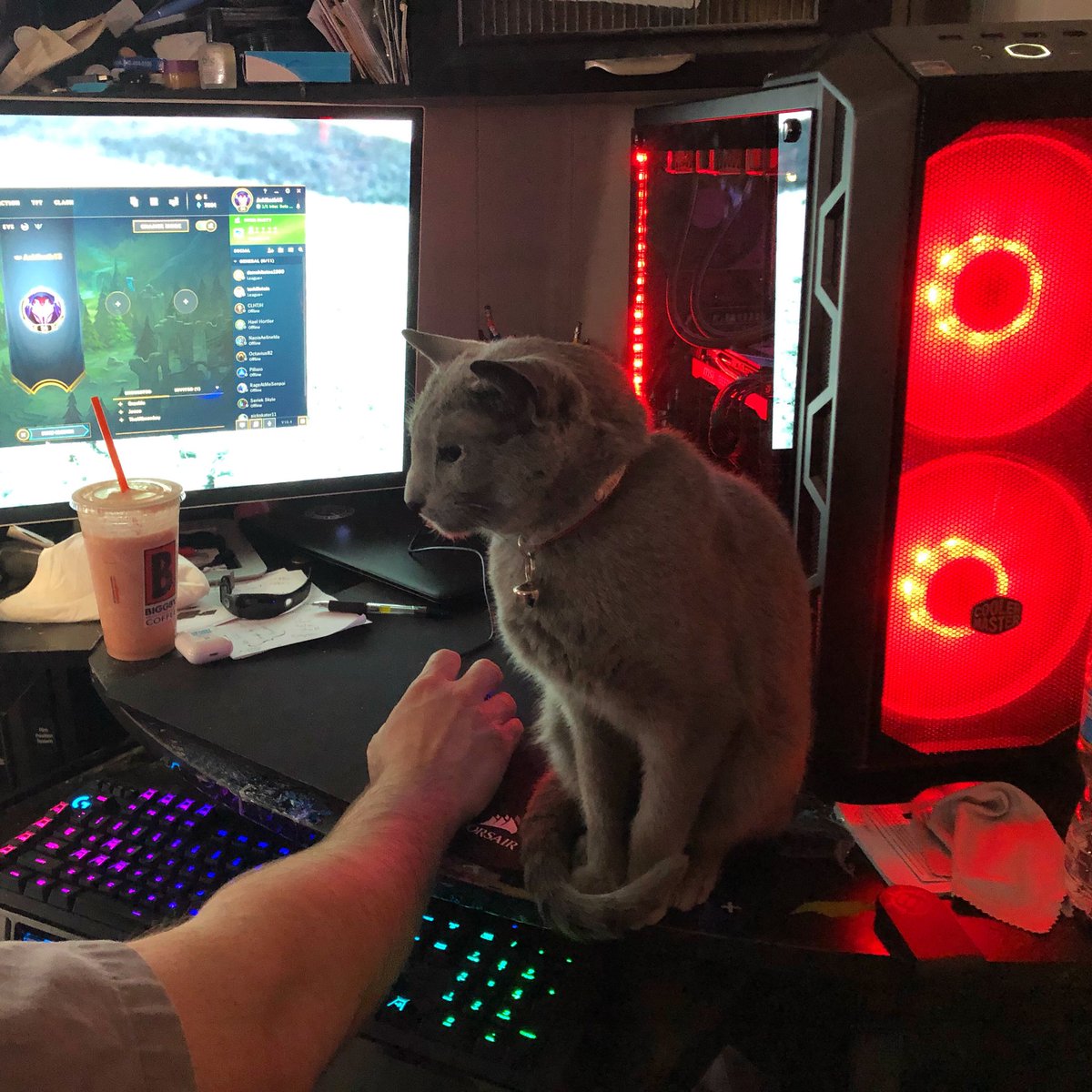 spoott's tweet photo. #gamer #cat getting in the way since 2007 #russianblue #kitty #CatsOnTwitter https://t.co/WqHgQkHmch