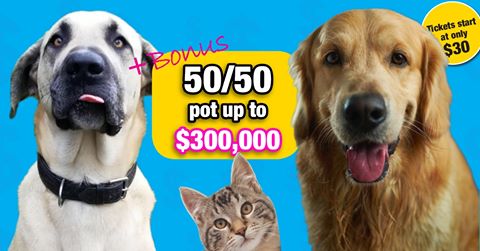 The BC SPCA Lottery for animals is here &amp; it's bigger than ever. Since the 50/50 SOLD OUT last year, we have increased it to a whopping $300,000 pot!
Get your ticket now!
lottery.spca.bc.ca
When you play, the animals always win.
Know your limit, play within it. 19+
#BCSPCA