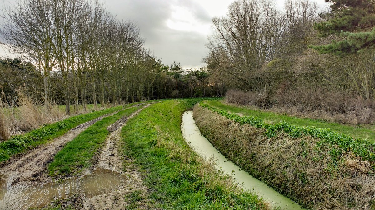 BethFootForward's tweet photo. North #Somercotes to #Mablethorpe
https://t.co/3LGR3UTsNY

https://t.co/5Pf99n8VVI

#nationaltrails #visitbritain #Lincolnshire #searchandrescue #uksar #volunteers #ramblers #ramblersgb #walking #hiking #charitywalk #charitycoastalwalk #BethFootForward #longdistancewalking https://t.co/hX2t0E5zzj