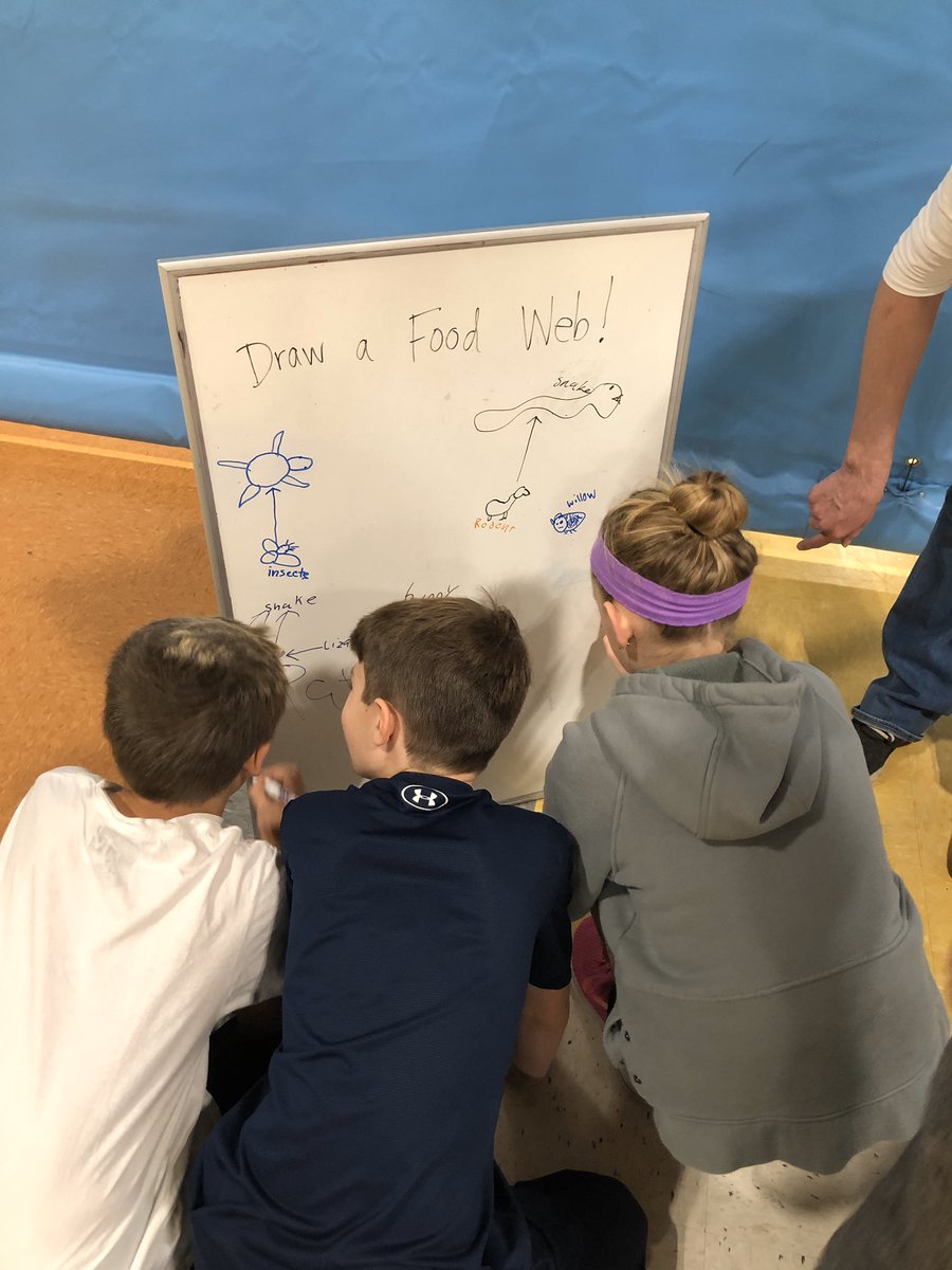 Gatelytweets's tweet photo. We loved creating well balanced diets for different animals, drawing food webs, following directions in order to take care of sick or injured “animals,” creating our own habitats, and sketching our own animals with different adaptations! @Wildrockva @BrownsvilleES https://t.co/4ym1D7OdDd