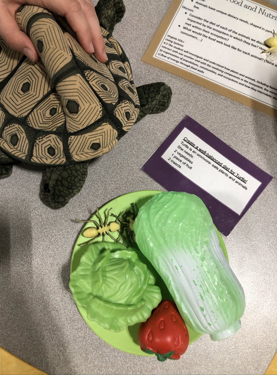 Gatelytweets's tweet photo. We loved creating well balanced diets for different animals, drawing food webs, following directions in order to take care of sick or injured “animals,” creating our own habitats, and sketching our own animals with different adaptations! @Wildrockva @BrownsvilleES https://t.co/4ym1D7OdDd