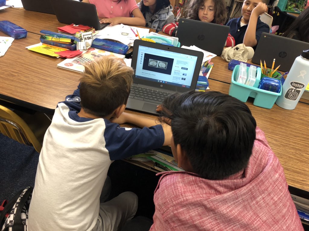 Vanessa Le tweet media