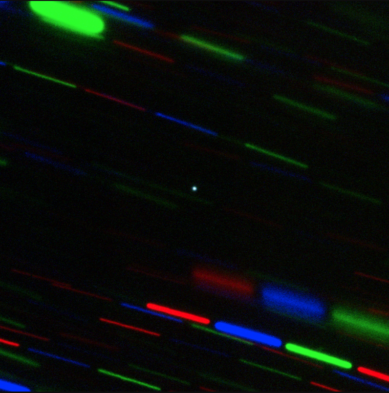 GeminiObs's tweet photo. Astronomers using the international Gemini Observatory, on Hawaii’s Maunakea, have imaged a very small object in orbit around the Earth, thought to be only a few meters across. Use the link below for more details. #NSFOIRLab #DiscoverTogether #GeminiObs
https://t.co/JrmaF0pYmT https://t.co/WXaJAB3Aev