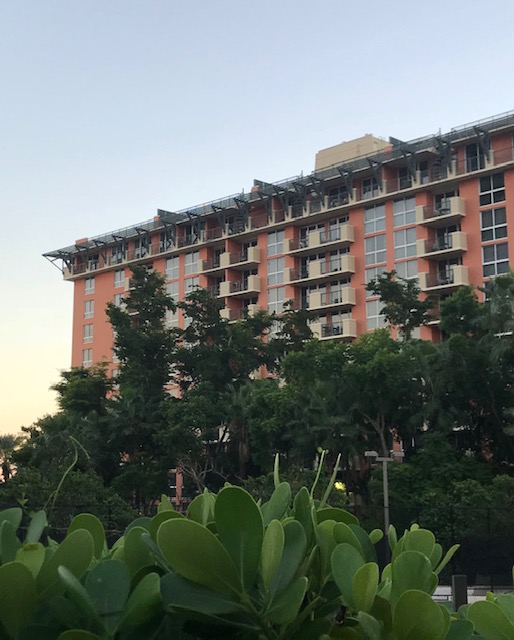 mutinyhotel's tweet photo. Get a jumpstart on your #StPatricksDay plans in #Miami – check out our exclusive offer here at the #MutinyHotel. https://t.co/ly7xS4rXwv https://t.co/Wfm7ImApYg