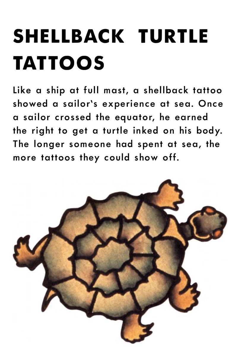 shellback  Animal Tattoos  Last Sparrow Tattoo