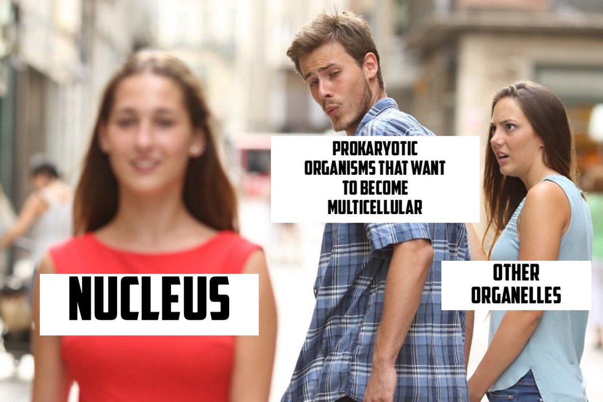 CELLectnUcleUS's tweet photo. You’re all saying I’m not needed in the cell, but I also know that you don’t want a world with just bacteria in it #CELLection2020 #proprokaryote https://t.co/tuGfAFWShL