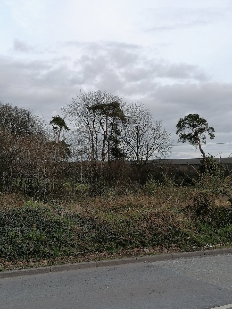 Irishshin's tweet photo. Day 57 &amp; 58 #100daysofwalking #100daysofwalkingincork
Making good progress on the Greenway (last pic) https://t.co/XnO36V9vQC
