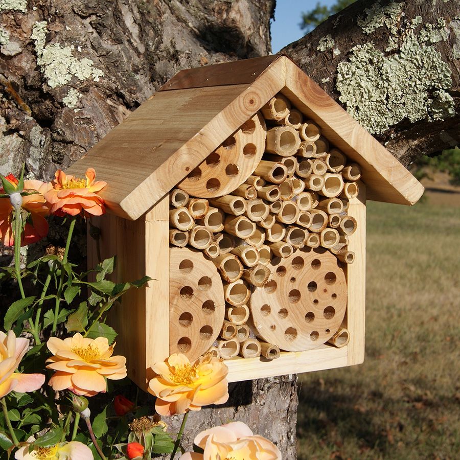 beegreenirelan's tweet photo. We are offering a complementry Solitary Bee Hotel to our existing and new Corporate  customers!!
To order your complementary  bee hotel simply contact us through our Web page https://t.co/74ThebCoZ9.
 #greenbuildings #solitarybees #pollinators #sustainability #beegreenireland https://t.co/53wDRCfOBs