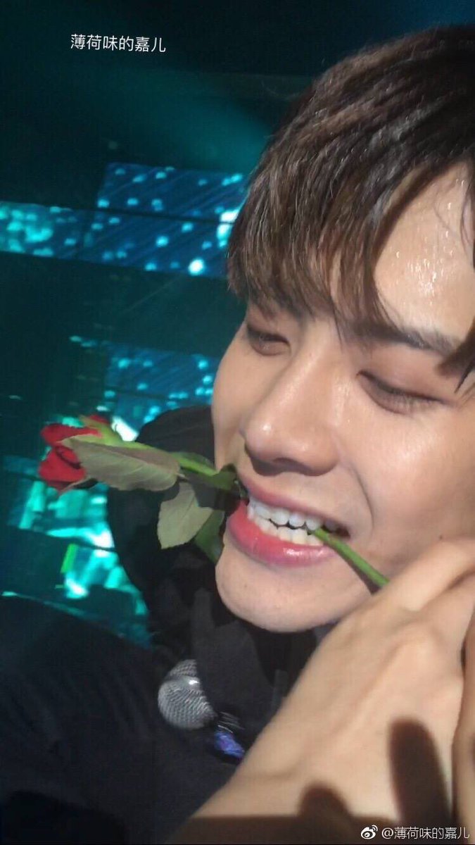 ┊͙day 58┊͙ seunie u cant eat th flower silly !!!!! but anyway u look so pretty always ur just so angelic !!! th loml my strength nd my happiness i love you so so so much tiny baby i hope i can meet u one day :(( 