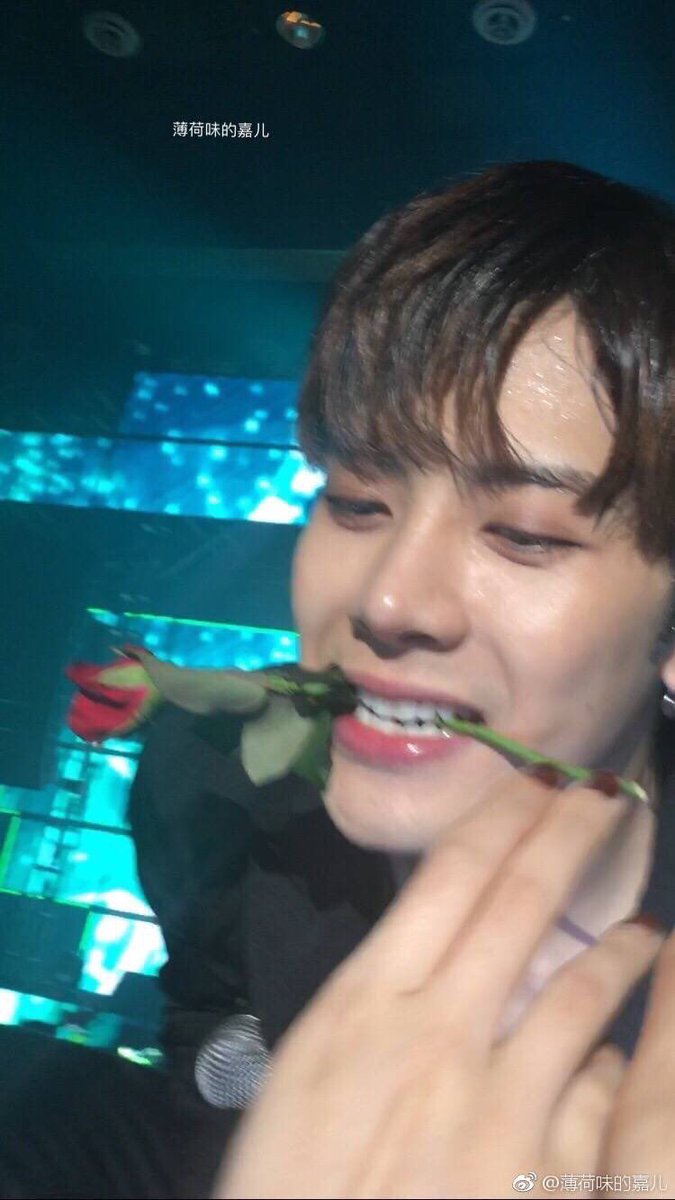 ┊͙day 58┊͙ seunie u cant eat th flower silly !!!!! but anyway u look so pretty always ur just so angelic !!! th loml my strength nd my happiness i love you so so so much tiny baby i hope i can meet u one day :(( 