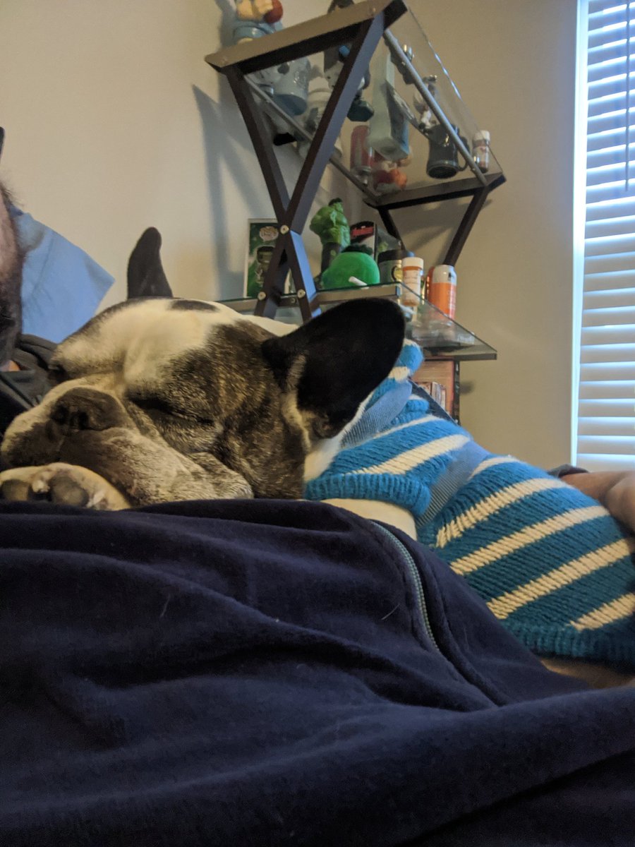 FrenchieSlider's tweet photo. Arf! Dad is warm! https://t.co/gyz6Qj7NfQ