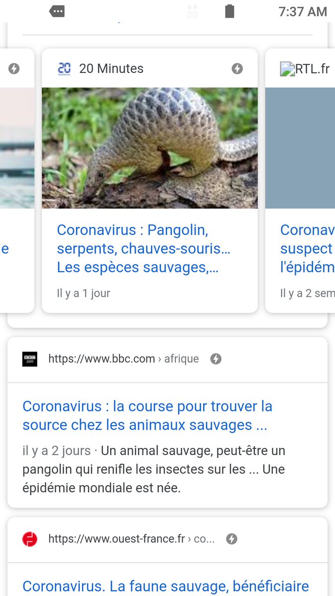 pedry08's tweet image. Serpents chauvres souris suspect du coronavirus (pangolin)!