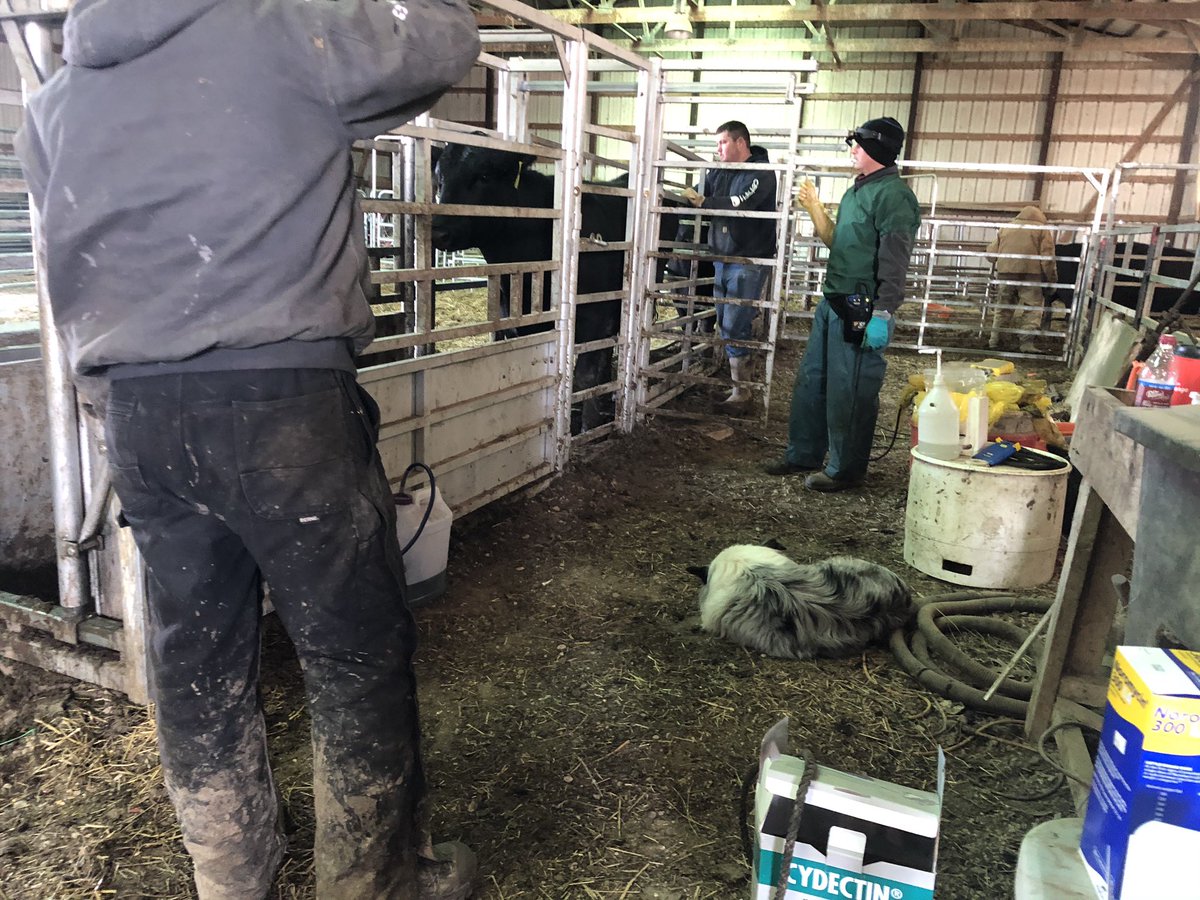 Brock Meyer tweet media