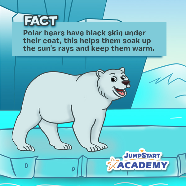 JSAHome's tweet photo. Here’s an interesting fact you can share with your little one on International Polar Bear Day! Celebrate our artic friends by learning even more fun trivia with the link below. 
https://t.co/zlYlWeWUtV https://t.co/qu8cJPVuUY