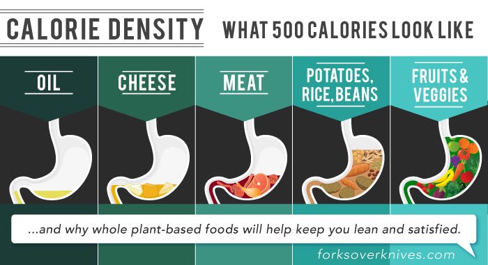 DietEscape's tweet photo. We’ve been duped into thinking things like olive oil and coconut oil are health foods.

Newsflash: oil is a processed source of dense calories #thetruthabouttakeaways https://t.co/SWrP03d4V3