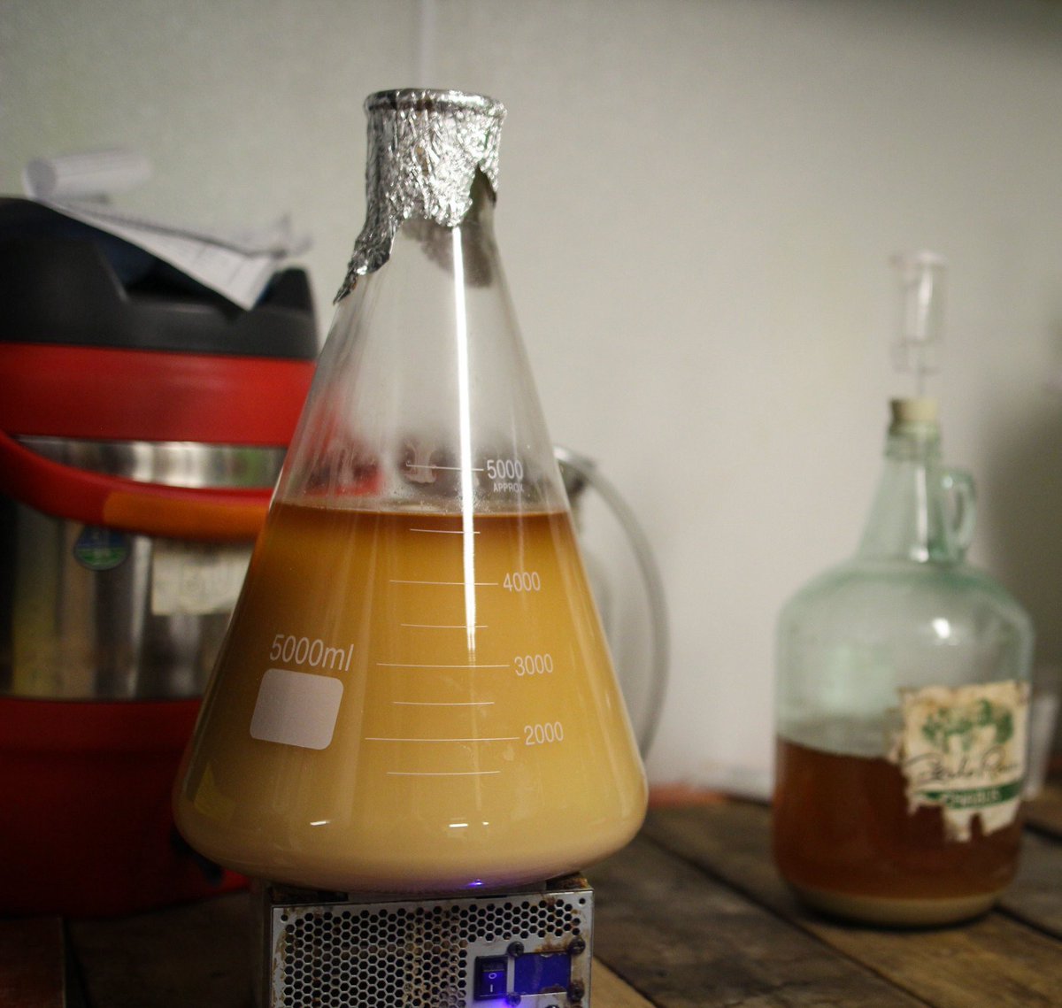 Always something brewing in the basement! #thisismotor #yqg #windsorontario #brewlife #ontariocraftbeer