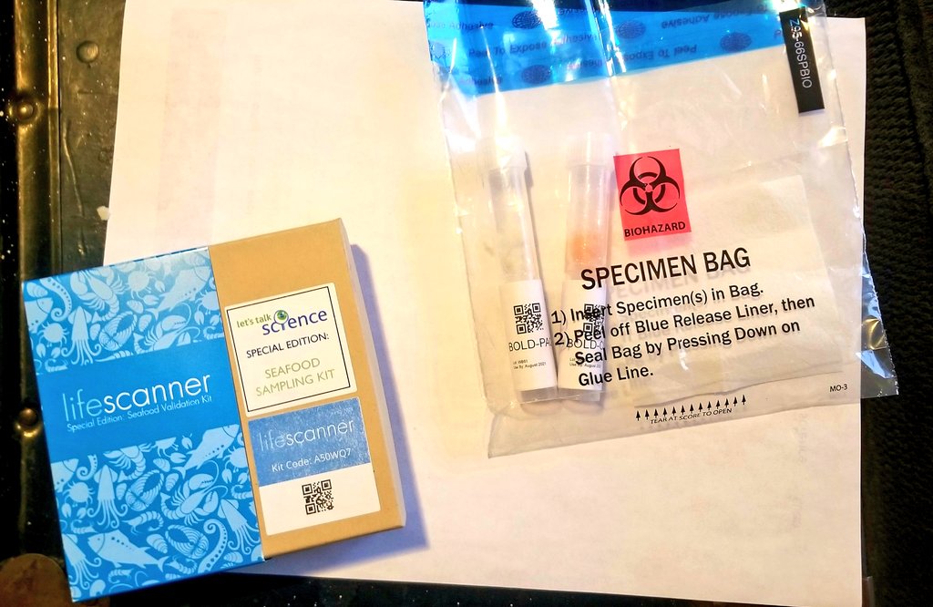 vthomps2's tweet photo. Tonight at Home Instruction we completed our @LifeScanApp Seafood Sampling kit! Now our fish samples that will be sent for DNA Barcoding...

Our big question is are they what the label says they are?? 🧐🐟👩‍🔬 
#CitizenScience #CriticalThinking #STEM @LetsTalkScience #seafoodfraud https://t.co/nQj3P0rPWn