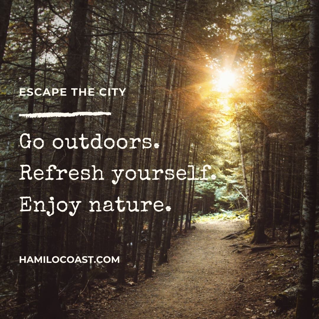 hamilocoastph's tweet photo. Escape the city. Go outdoors. Refresh yourself. Enjoy nature. 🌴🌤
#HamiloQuotes #GoodVibes #365DaysOfSummer #365DaysOfFun #PicoDeLoroCove #HamiloCoast https://t.co/TdpEq0iWfs