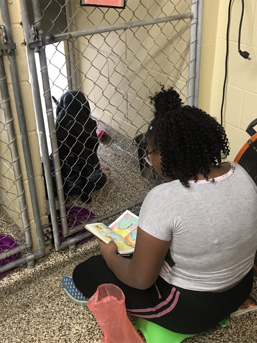 hcpsCollinsNEHS's tweet photo. NEHS delivered supplies to the Tampa Humane Society https://t.co/MhadSNFy2L