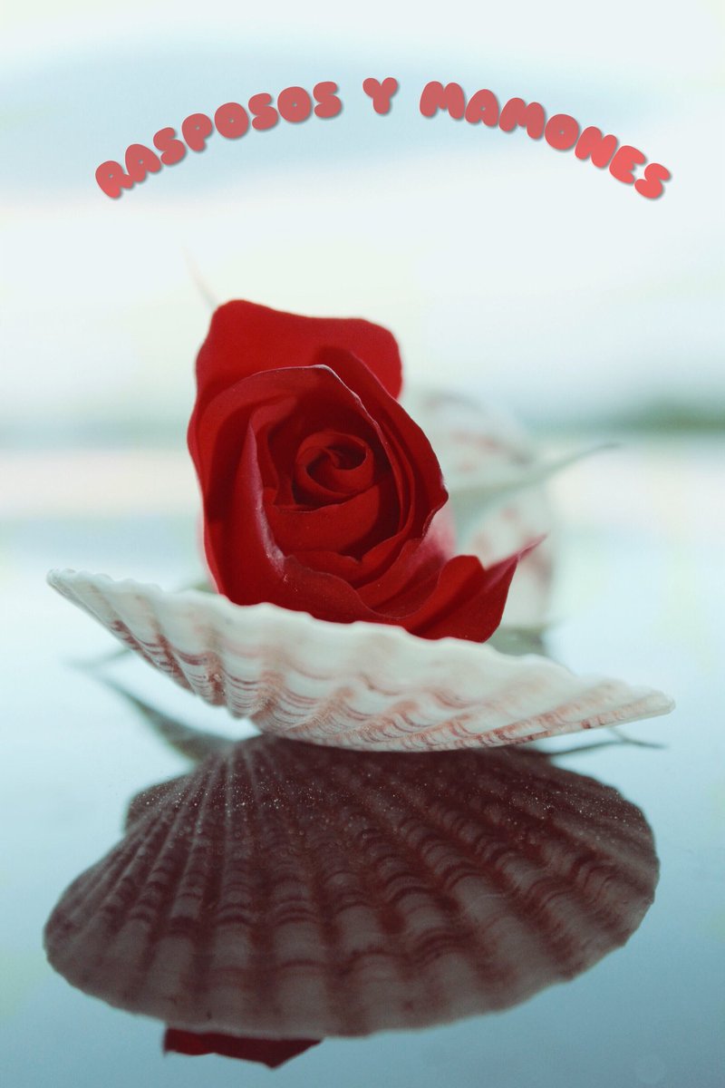 CANDERE60520872's tweet photo. #MiVirusFavoritoEs
un ramo d flores
#RaspososYMamones https://t.co/iH7sMpQs9p