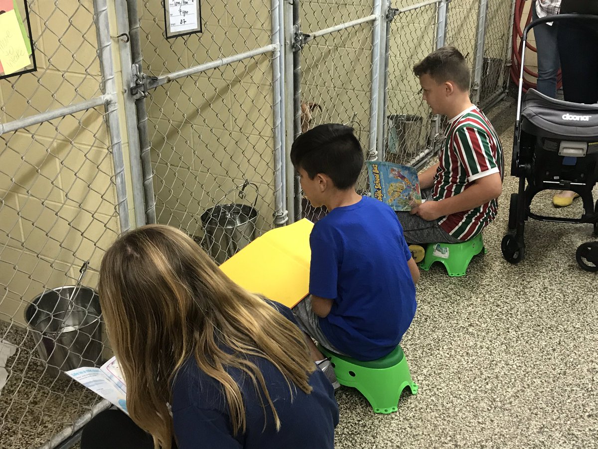 hcpsCollinsNEHS's tweet photo. NEHS delivered donations for the Tampa Humane Society and then participated in Paws for Literacy. We read to the animals. Wonderful way to spend the afternoon and serve our community. https://t.co/P9mGS748gm